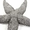 19″ Silver Pewter Textured Starfish Wall Art