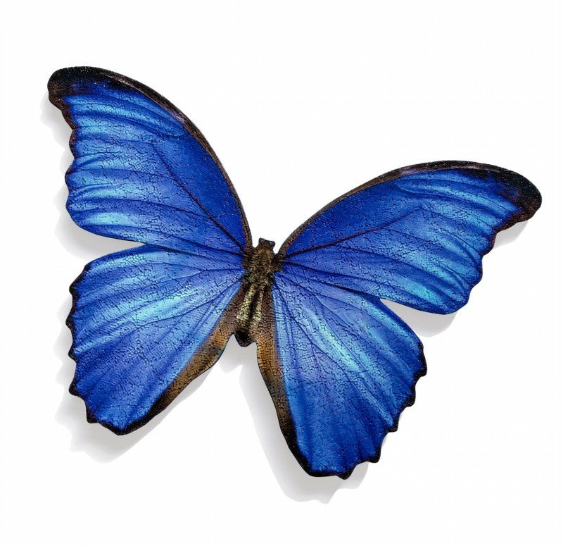 Mosaic Butterfly Blue Morpho Wall Art, 30″W