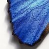 Mosaic Butterfly Blue Morpho Wall Art, 30″W