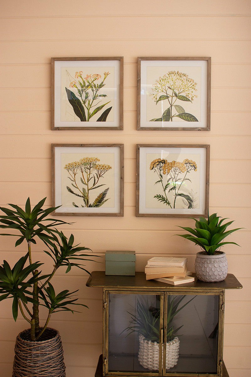 Framed Flower Prints Under Glass Set Of 4